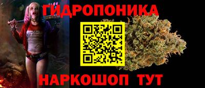 ГАЛЛЮЦИНОГЕННЫЕ ГРИБЫ Лесосибирск