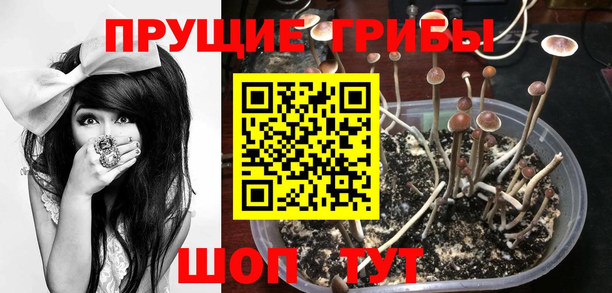 Галлюциногенные грибы прущие грибы  Вход с VPN  Ижевск 