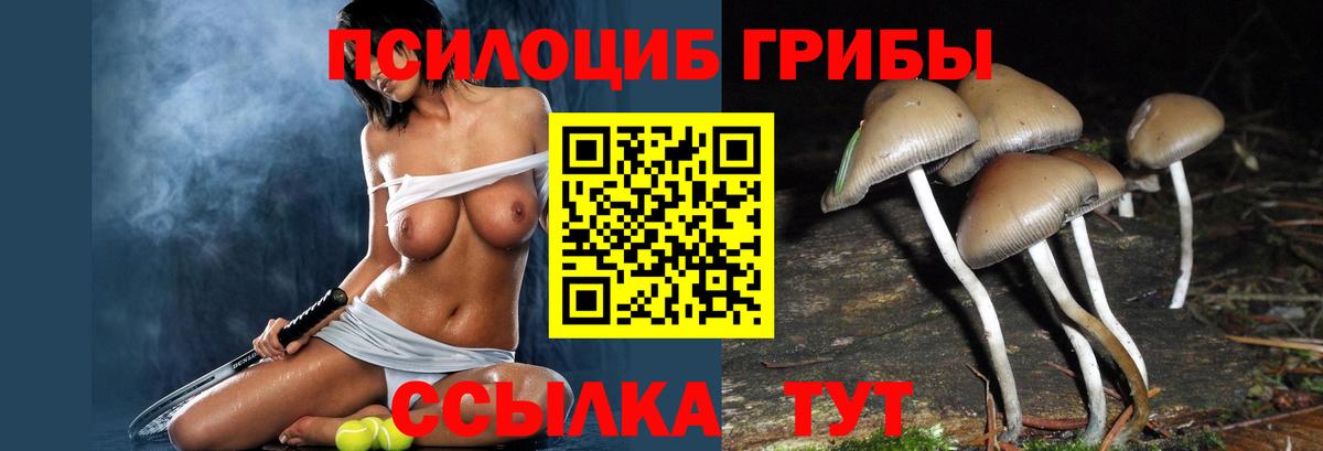 Псилоцибиновые грибы прущие грибы Ижевск